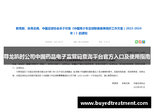 尊龙凯时公司中国药品电子监管码查询平台官方入口及使用指南