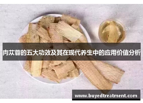 肉苁蓉的五大功效及其在现代养生中的应用价值分析