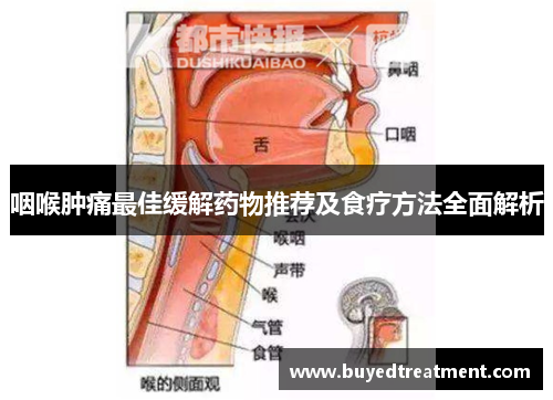 咽喉肿痛最佳缓解药物推荐及食疗方法全面解析