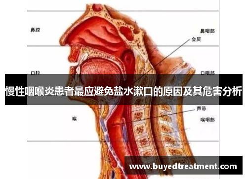 慢性咽喉炎患者最应避免盐水漱口的原因及其危害分析